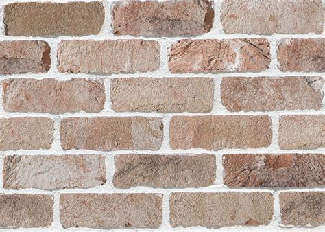 San Selmo Reclaimed Austral Bricks