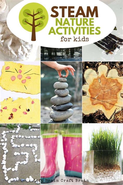 Awesome Steam Nature Activities For Kids Nature School Nature Kids