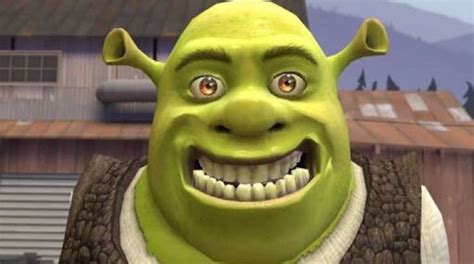 Pin By 𝙨 On Funny Shrek Shrek Character Shrek Memes