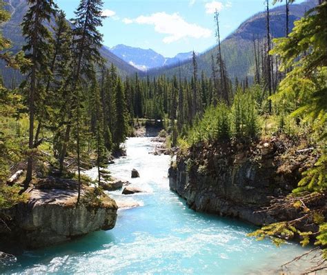 Marble Canyon Kootenay National Park All You Need To Know Before You Go