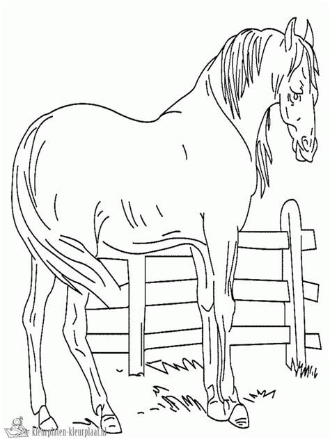 Kleurplaten paard kleurplatenkleurplaat.nl