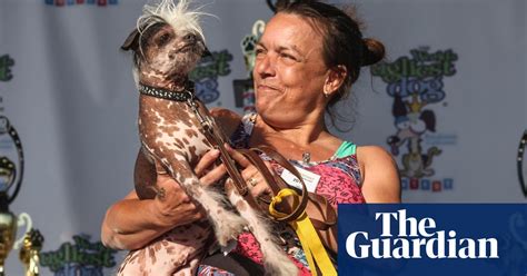 The Ugliest Dog Competition In Pictures Life And Style The Guardian