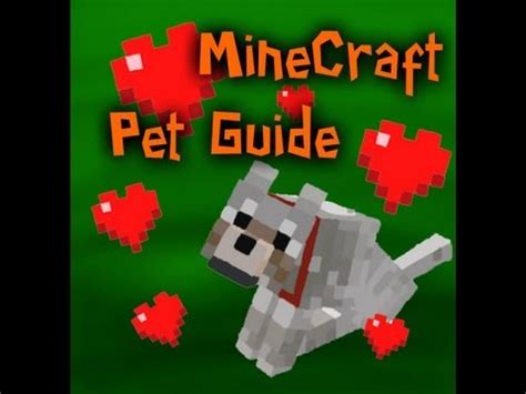 This way you will get your first companion. MineCraft - Pet Guide! And Breeding! ★ - YouTube