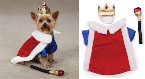 Royal Pup Dog Costume King Costume For Dogs King Costume Pet