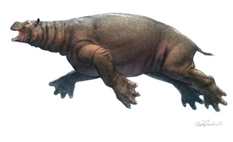 Art Illustration Prehistoric Mammals Neoparadoxia Cecilialina A