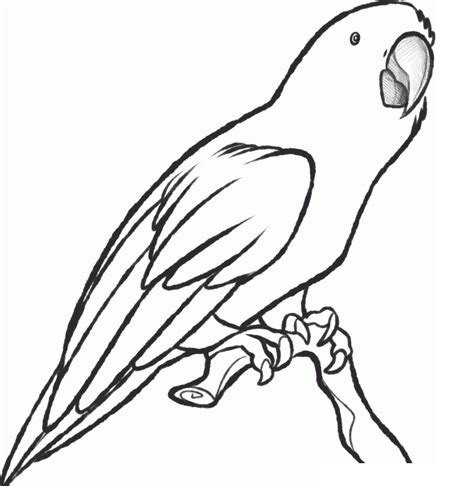 Free Printable Parrot Coloring Pages For Kids - Animal Place