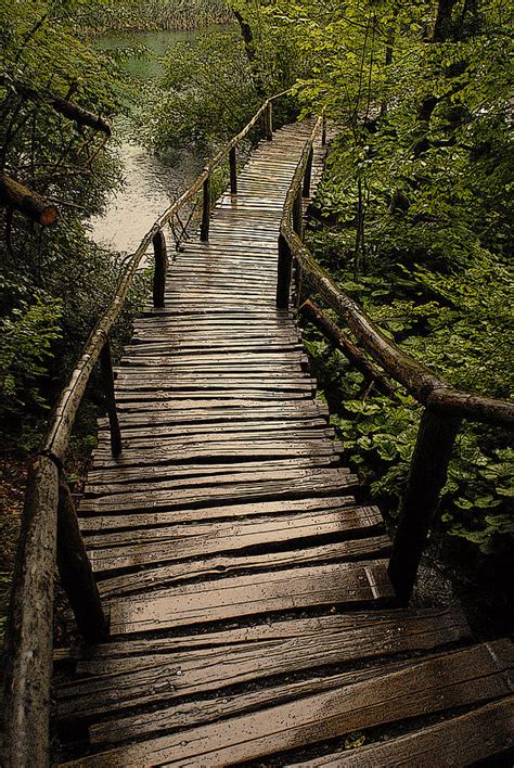 Wooden Bridge In Rain Photograph By Don Wolf Pixels