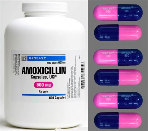 Study Questions The Effectiveness Of The Antibiotic Amoxicillin