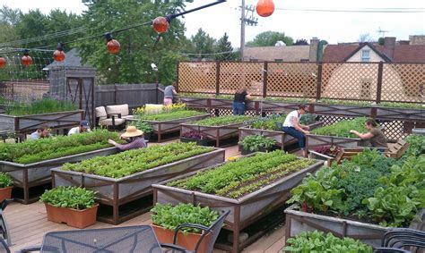 Green Roofs and Great Savings | Rooftop garden, Vegetable garden