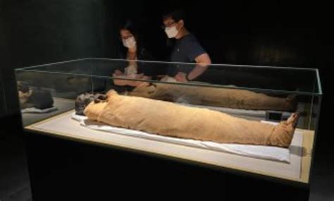 Royal Mummies In Egypts Nmec To Enjoy Regular Maintenance Egypttoday