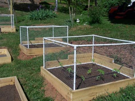 How to » home & garden » gardening & landscaping » gardening fundamentals » how to keep cats why, kitty, why? PVC Framed Garden Box Enclosures - Of Mice and Mountain ...