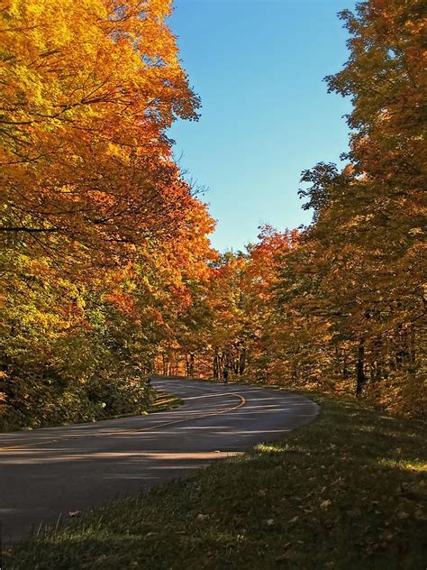 A Country Road In A Fall Landscape Photograph By Chantal
