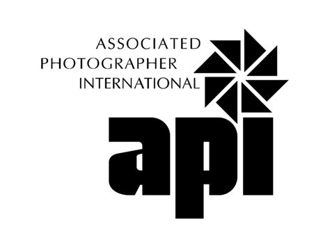 API Logo Profesional