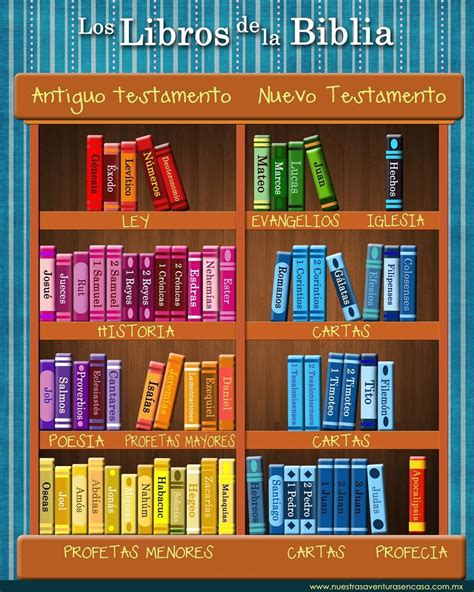 Cuales Son Los Colores De Los Libros Del Antiguo Testamento Brainlylat