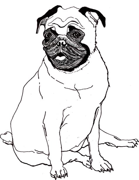 Https://tommynaija.com/coloring Page/coloring Pages Of Pugs