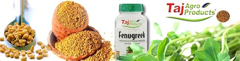 Doing business and doing good. Menthulu (Fenugreek Seeds), Fenugreek Seeds exporters in ...