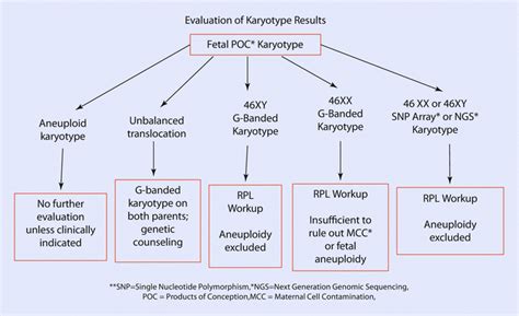 Recurrent Early Pregnancy Loss Obgyn Key