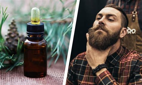 10 Best Beard Oils Of 2023 Scent Softening Quality And More