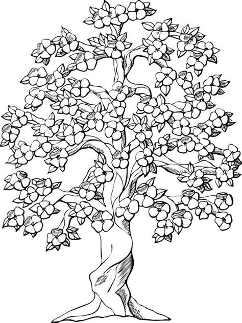Tree Coloring Pages For Adults Free Printable Tree