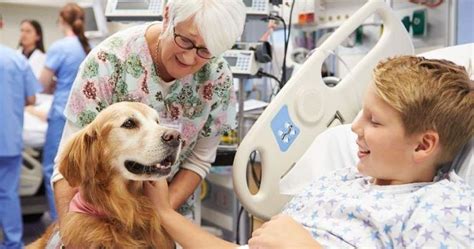 Civitavecchia La Pet Therapy Nuova Frontiera Da Esplorare Per La Asl