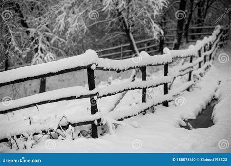 Wooden Fence In The Snow The Fence In The Forest Winter Landscape