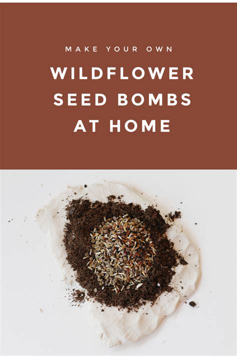 Diy Seed Bombs Recipe An Easy Garden Hack Seed Bombs Seed Bombs Diy