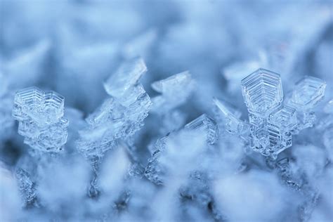 Free Images Nature Snow Cold Winter White Frost Ice Geometric