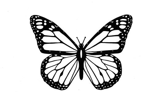 Butterfly Clipart Black And White Small Butterfly Mania