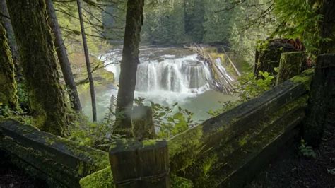 Visit Your Pacific Northwest National Forest Youtube
