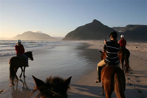 Horse Riding Cape Town Cape Xtreme Adventure Tours Cape Town