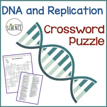 Adenine, cytosine, deoxyribose, deoxyribose nucleic acid, double helix, genetic, guanine, messenger, nitrogen, nucleotide, phosphate, protein, rosalindfranklin, thymine, uracil, watsonandcrick. DNA and Replication Crossword Puzzle by Amy Brown Science ...