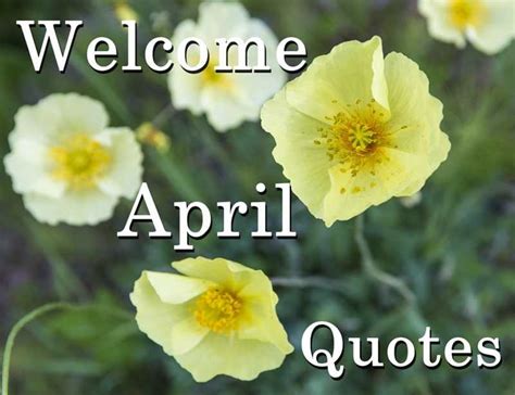 45 Welcome April Quotes To A Month With Many Inspirational