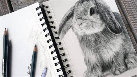 How To Draw Hair And Fur Skillshare Blog