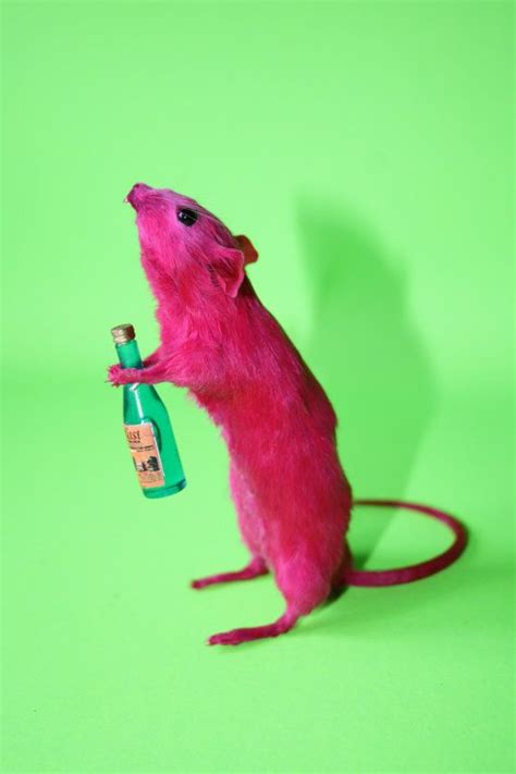 Pink Taxidermy Buckfast Drinking Mouse