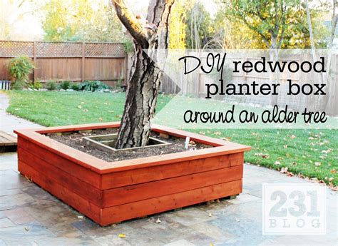 Diy Redwood Planter Put Around Japanese Maple And Add Flowers Make In