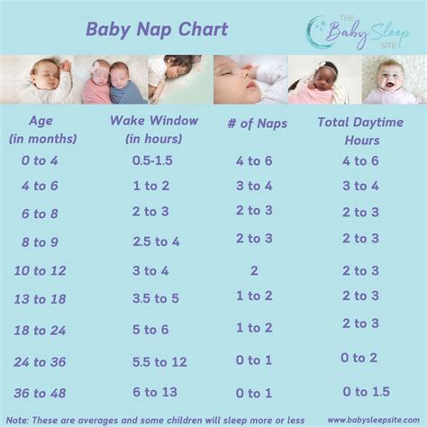 Baby Nap Chart How Many Naps And How Long Should They Be