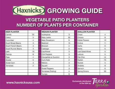 * please note we do not currently offer 40ft containers at. Vegetable Patio Planters — Haxnicks Gardening Products