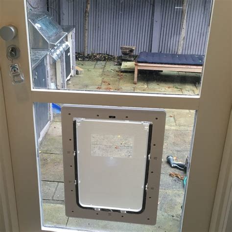 If you are looking to install a pet door for your companion animal, in glass pet doors gives you some great options. Large Dog Door For Glass - Supplied & Installed - National ...