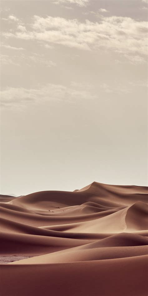 720x1440 Sahara Desert In Summer 720x1440 Resolution Wallpaper Hd
