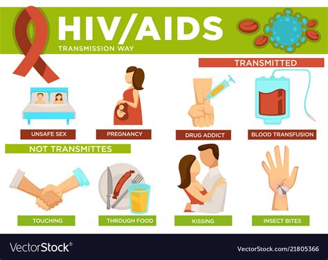 Hiv And Aids Transmission Ways Poster With Info Vector Image
