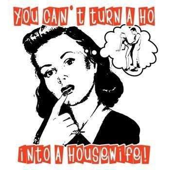 You Cant Turn A Hoe Into A Housewife Wisdom Quotes Funny Great Quotes