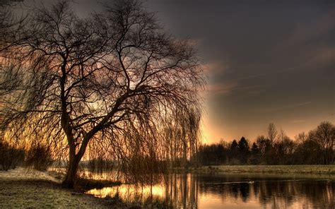 Sfondi Luce Del Sole Alberi Paesaggio Foresta Tramonto Lago