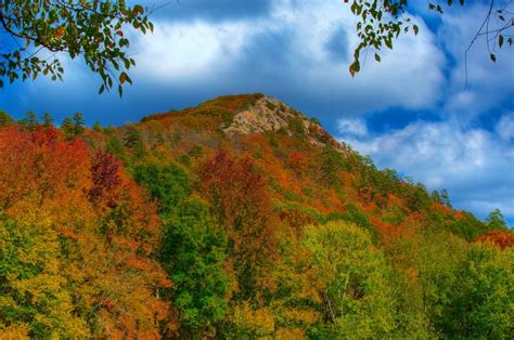 8 Incredible Spots To See Fall Foliage In Arkansas Territory Supply