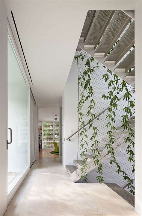 If you like wall climbing plants, you might love these ideas. 60+ Remarkable Indoor Vines and Climbing Plants ...