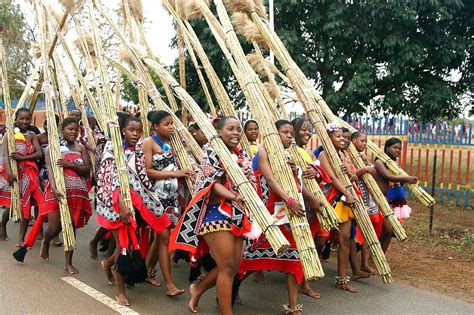 Yearly Reed Dance In Swaziland Porn Pictures Xxx Photos Sex Images 483599 Pictoa