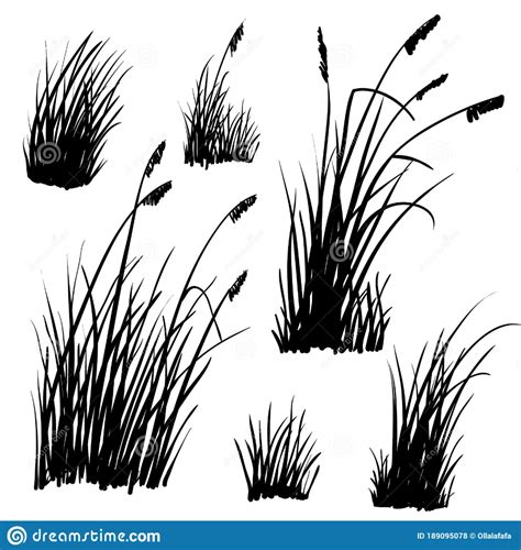 Beach Grass Silhouettes On White Stock Vector Illustration Of Drawn