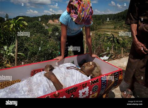 Indonesia Sulawesi Island Toraja Land During The Ma‘nene Ceremony Mummified Bodies Are