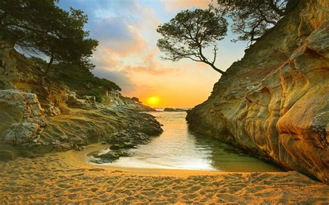 Nature Landscape Sunrise Beach Sand Trees Rock Coast Sea