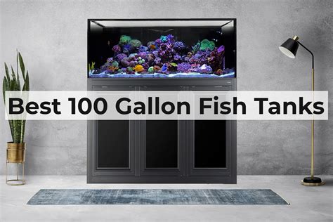 The Best 100 Gallon Fish Tanks The Goldfish Tank