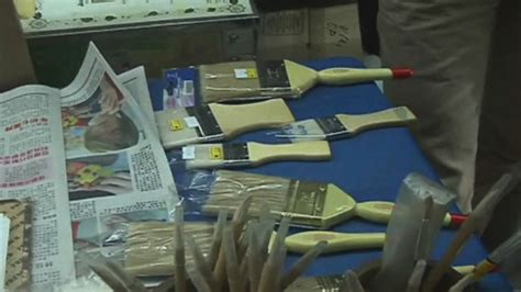 Dengan membersihkan kuas cat anda dengan betul setelah digunakan apabila berus bersih, goncang atau buang air yang berlebihan. 150 berus cat bulu babi dirampas di Johor | Astro Awani